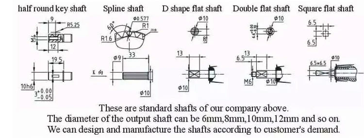 12V DC Motor Customized Worm Gear Reducers and Gearmotors