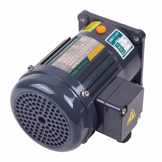 Gpg mittlerer kleiner Getriebemotor für automatische Logistik-Sortierlinien-Paketmaschinen CH CV 18 22 28 32 40 50 mm Ausgangswelle 100 W 200 W 400 W 750 W 1500 W 2200 W 3700 W